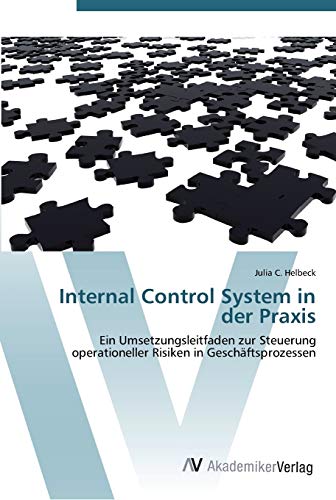 Internal Control System in der Praxis: Ein Umsetzungsleitfaden zur Steuerung operationeller Risiken in Geschäftsprozessen