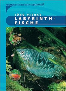 Labyrinthfische