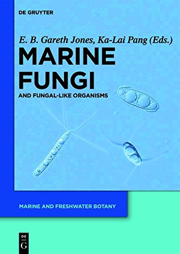 Marine Fungi: and Fungal-like Organisms (Marine and Freshwater Botany)