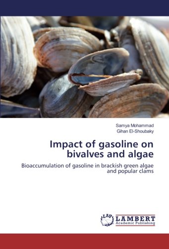 Impact of gasoline on bivalves and algae: Bioaccumulation of gasoline in brackish green algae and popular clams