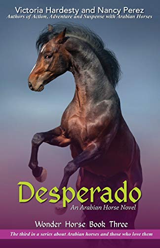 Desperado (Wonder Horse Book Two)