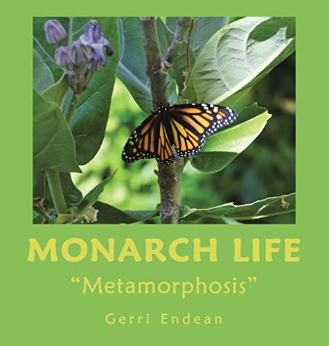 Monarch Life: Metamorphosis