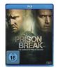 Prison Break - Die komplette Season 5 [Blu-ray]