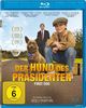 Der Hund des Präsidenten - First Dog [Blu-ray]