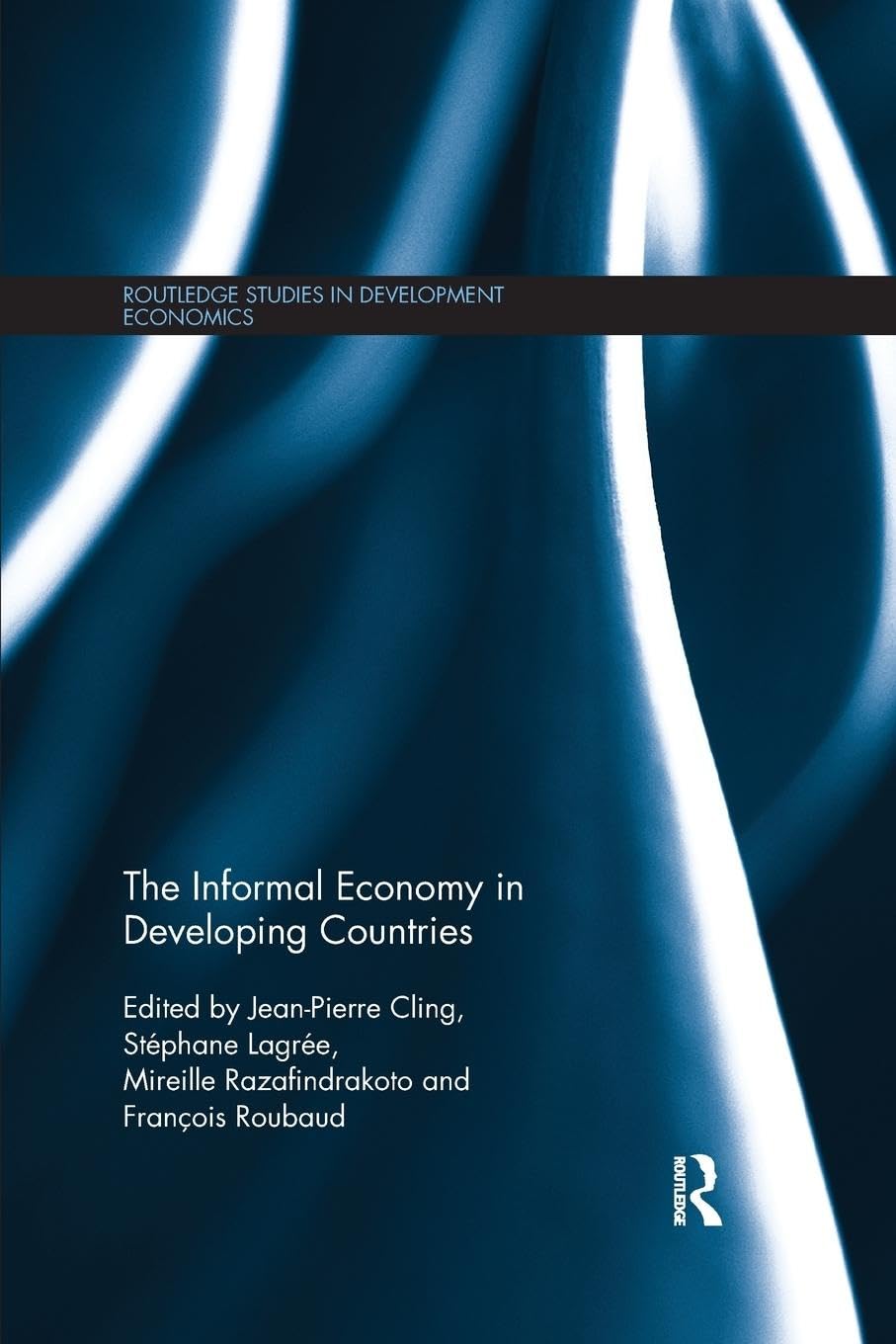 The Informal Economy in Developing Countries (Routledge Studies in Development Economics)