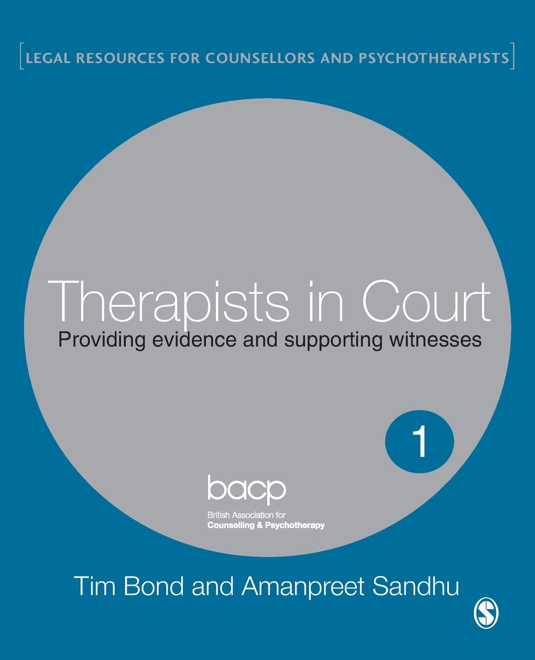 Therapists in Court: Providing Evidence and Supporting Witnesses (Legal Resources for Counsellors and Psychotherapists)