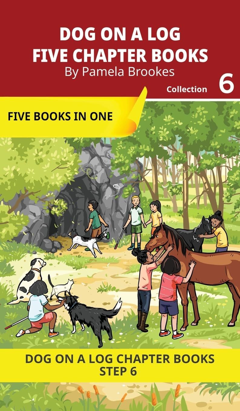 Five Chapter Books 6