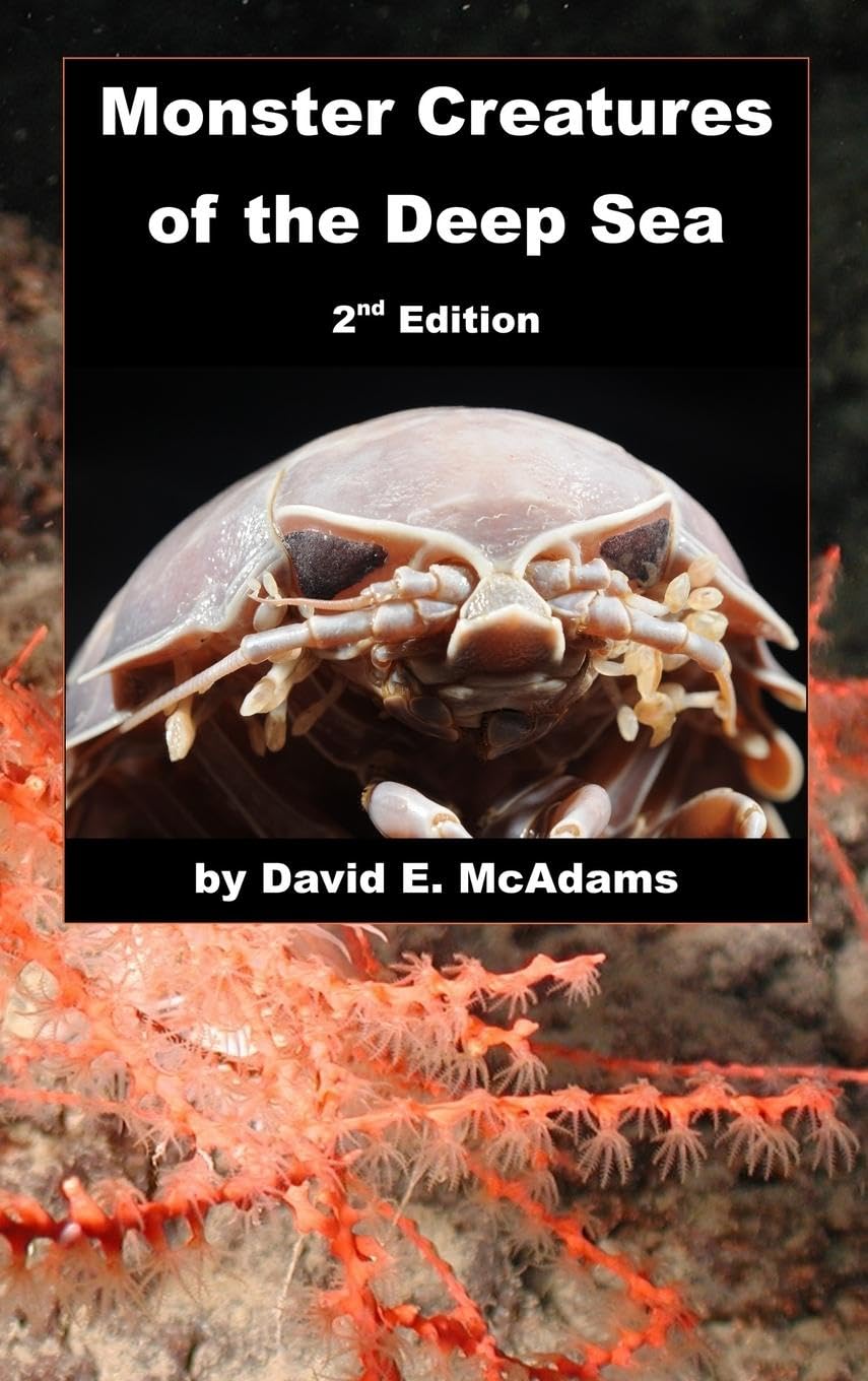 Monster Creatures of the Deep Sea (Science Books for Children)