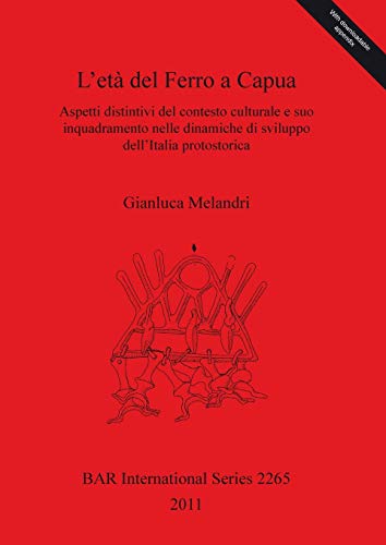 L'età del Ferro a Capua: Aspetti distintivi del contesto culturale e suo inquadramento nelle dinamiche di sviluppo dell'Italia protostorica (BAR International)