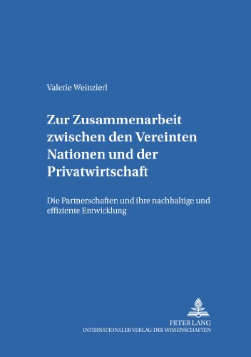 Zur Zusammenarbeit zwischen den Vereinten Nationen und der Privatwirtschaft: Die Partnerschaften und ihre nachhaltige und effiziente Entwicklung (Internationale Beziehungen)