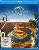Weltnaturerbe USA - Grand Canyon Nationalpark [Blu-ray]