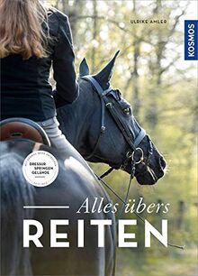 Alles übers Reiten: Dressur, Springen, Gelände