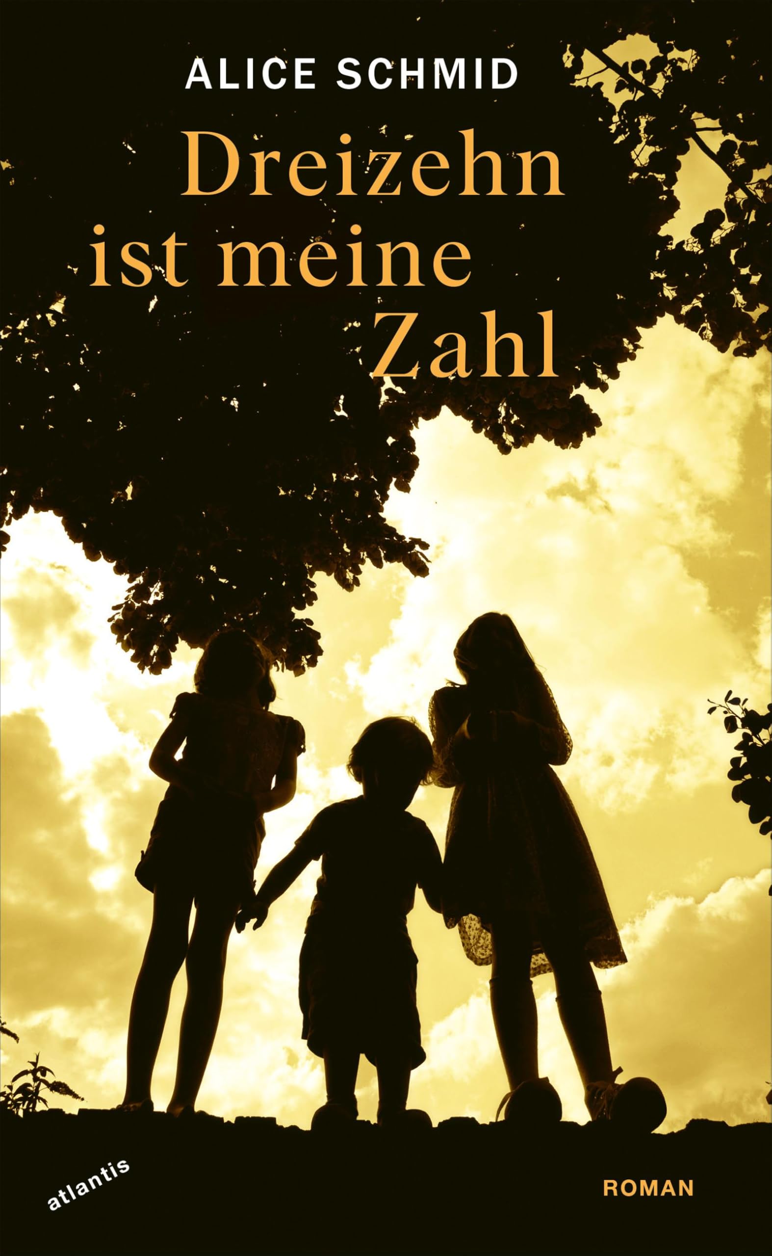 Schmid, Alice: Dreizehn ist meine Zahl