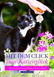 Mit dem Click zum Katzenglück: Katzen kreativ beschäftigen und erziehen