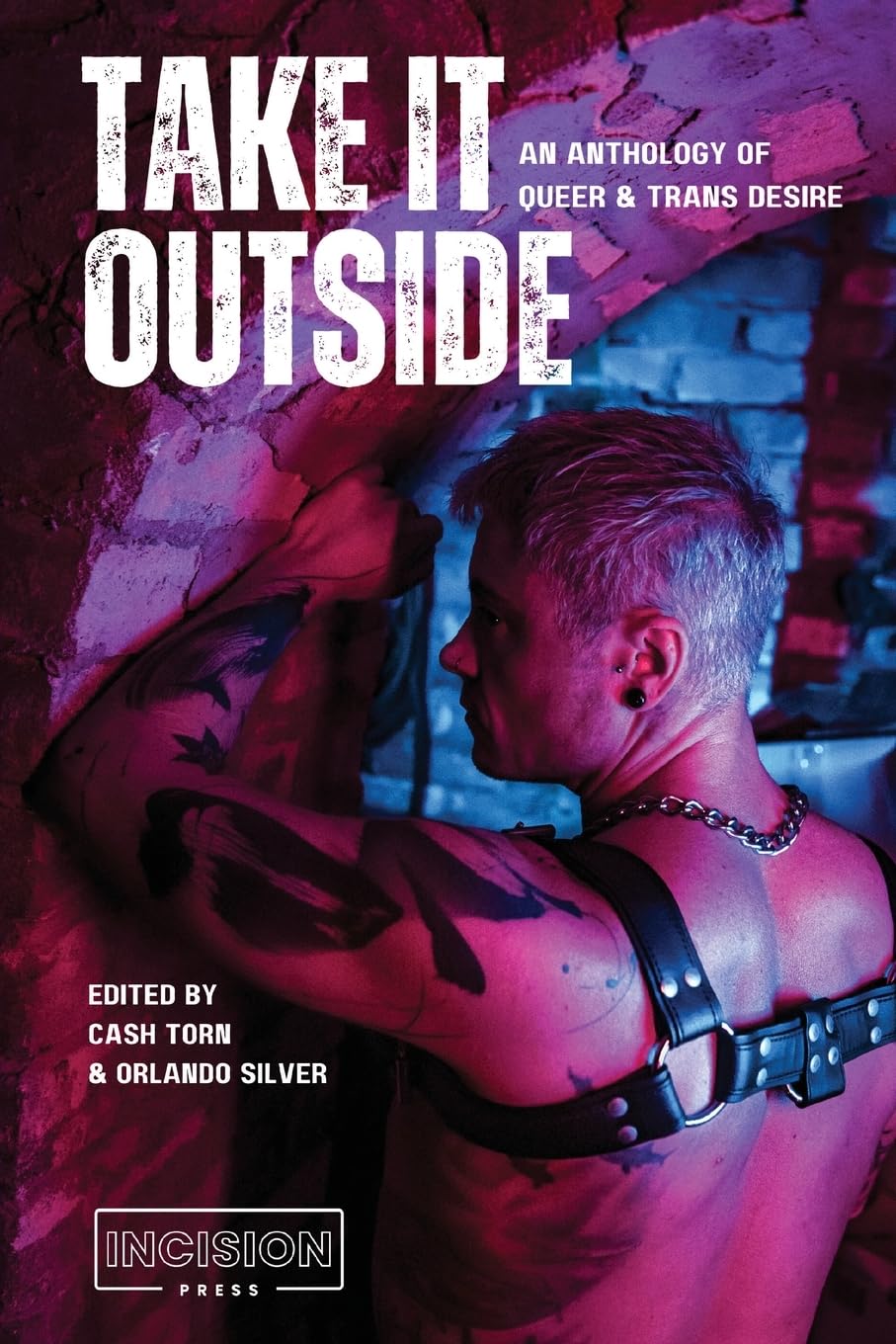 Take It Outside: An Anthology of Queer and Trans Desire