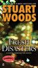 Fresh Disasters (A Stone Barrington Novel, Band 13)