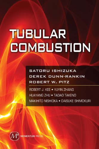 Tubular Combustion (Sustainable Energy)