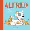 Alfred. Alerte aux chats !