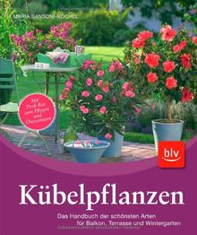 Kübelpflanzen: Das Handbuch der schönsten Arten für Balkon, Terrasse und Wintergarten