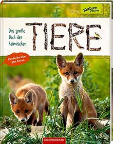 Das große Buch der heimischen Tiere: Entdecke über 350 Arten (Nature Zoom)