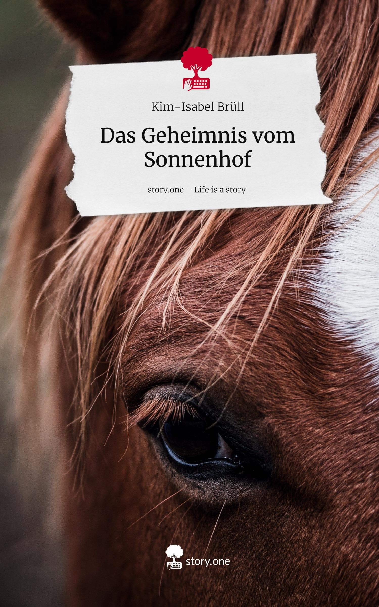 Das Geheimnis vom Sonnenhof. Life is a Story - story.one