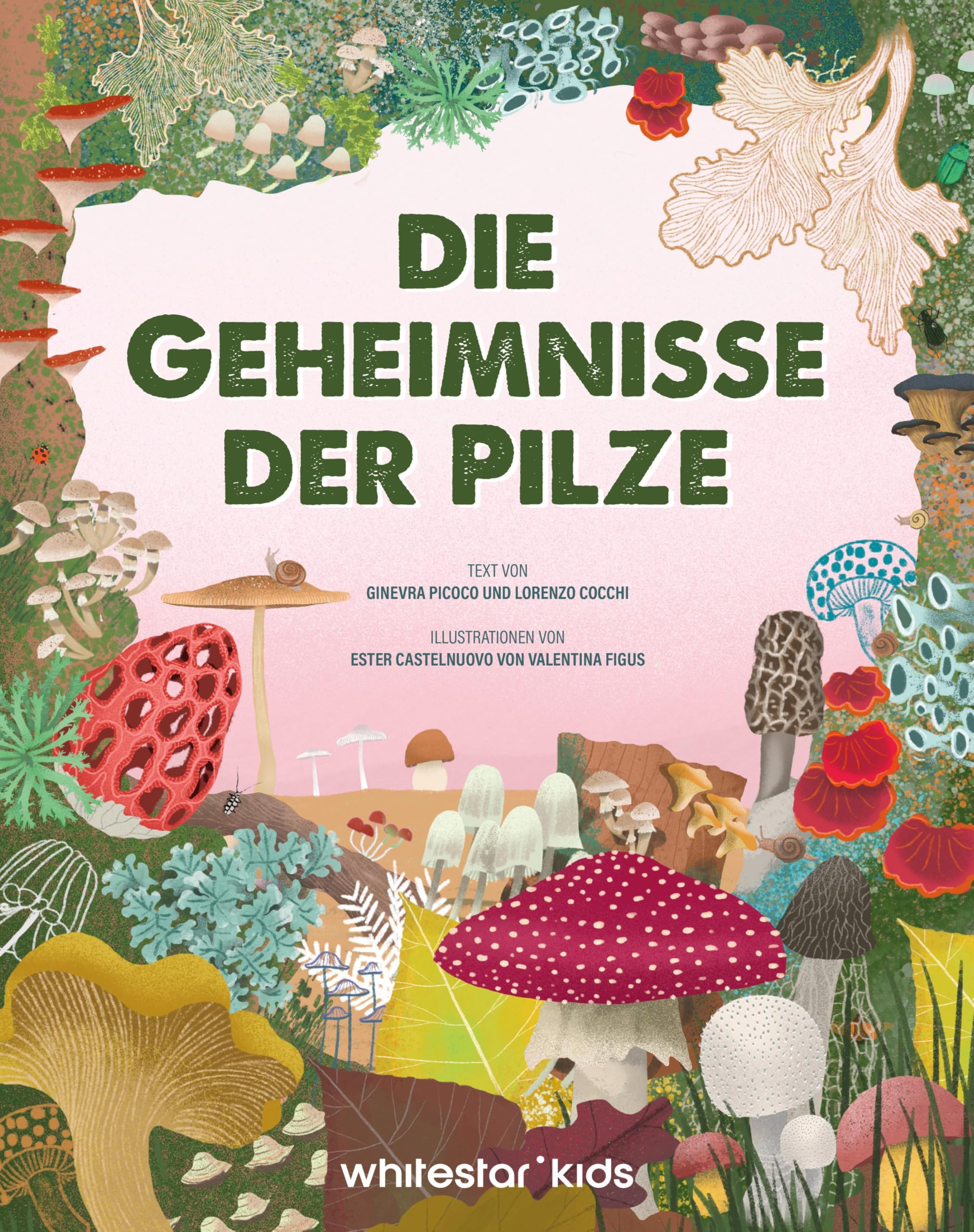 Picoco, Ginevra: Die Geheimnisse der Pilze