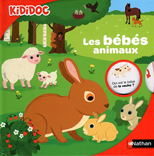 Les b&eacute;b&eacute;s animaux - Livre anim&eacute; Kididoc - D&egrave;s 4 ans (29)