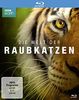 Die Welt der Raubkatzen - BBC Earth [Blu-ray]