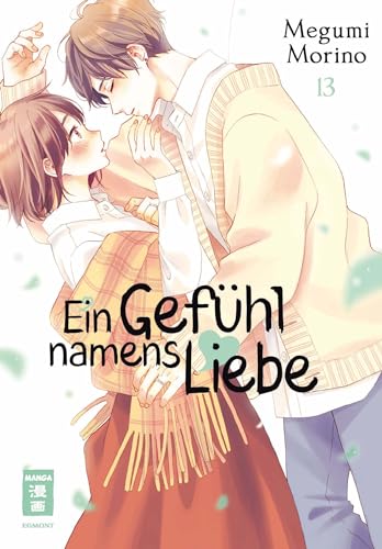 Ein Gefühl namens Liebe 13 - Megumi Morino Kartoniert (TB)