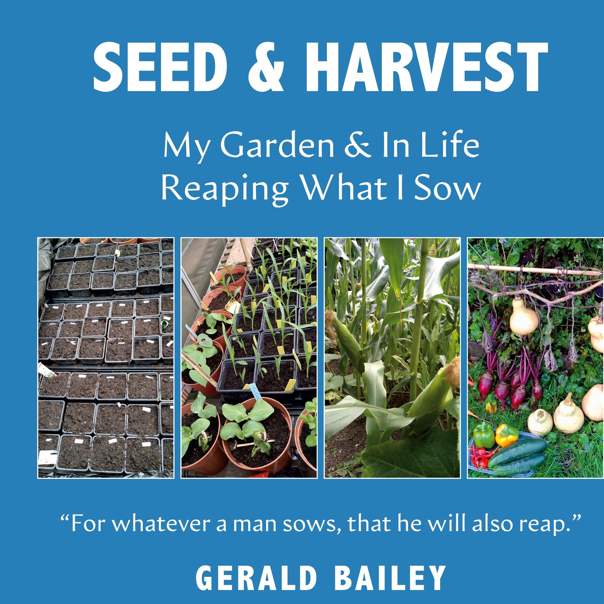 Seed & Harvest: My Garden & in Life: Reaping What I Sow