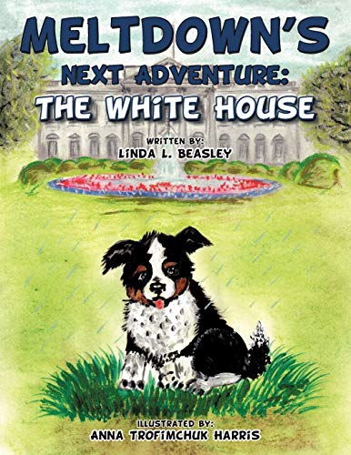 Meltdown's Next Adventure: The White House