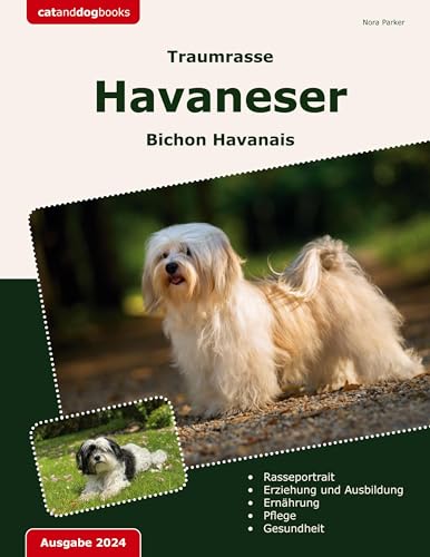 Traumrasse Havaneser: Bichon Havanais