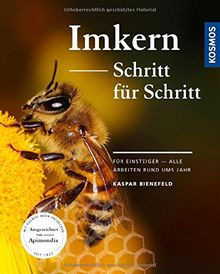 Imkern Schritt für Schritt: Für Einsteiger - alle Arbeiten rund ums Jahr