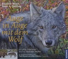 Auge in Auge mit dem Wolf: 20 Jahre unterwegs mit frei lebenden Wölfen
