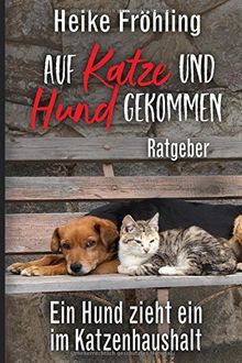 Auf Katze und Hund gekommen: Ein Hund zieht ein im Katzenhaushalt – Ratgeber