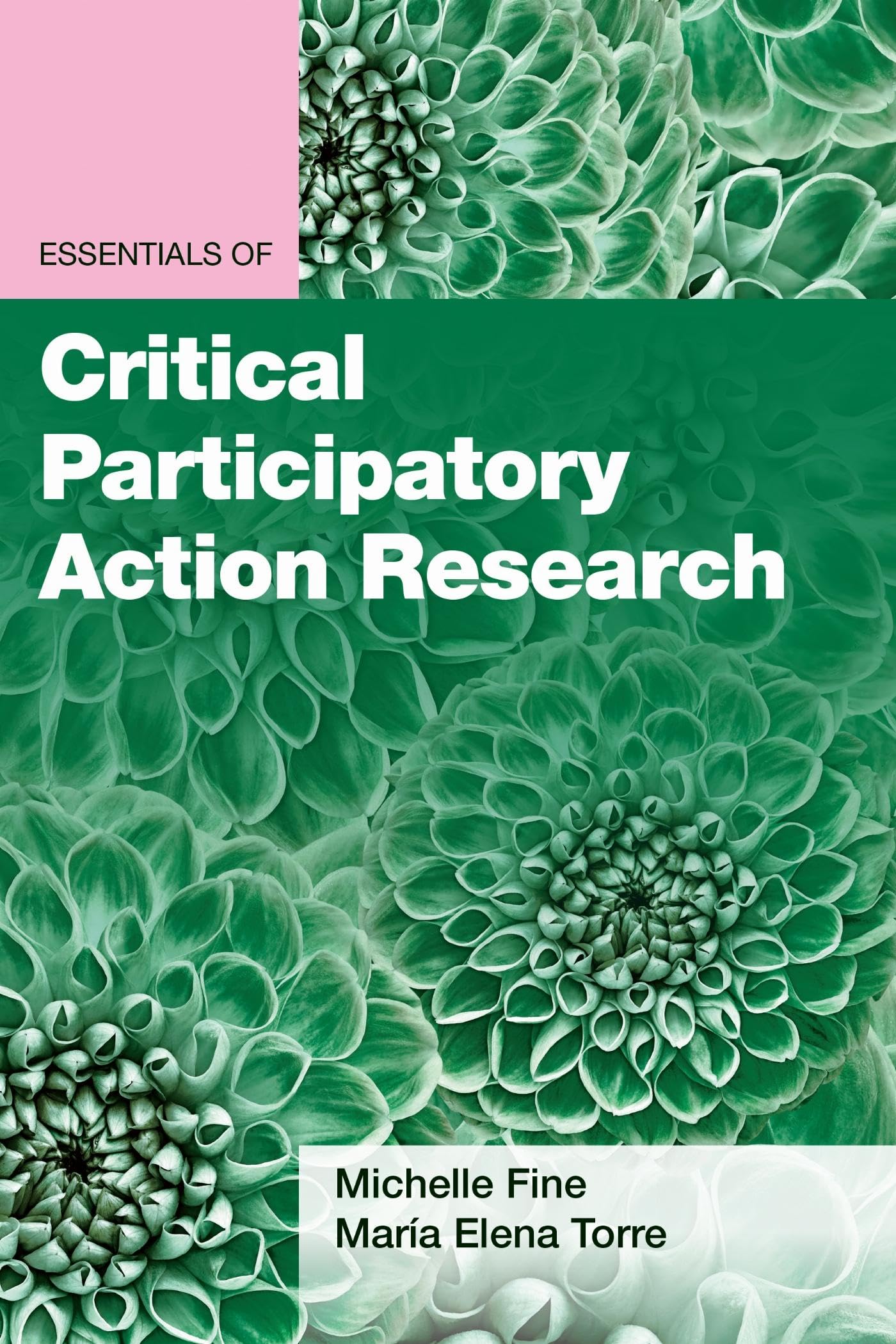 Essentials of Critical Participatory Action Research (Essentials of Qualitative Methods)