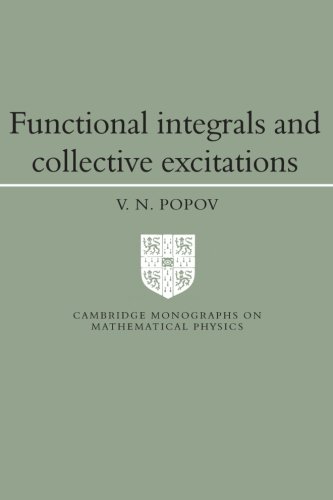 Functional Integrals and Collective Excitations (Cambridge Monographs on Mathematical Physics)