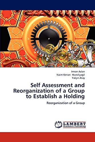 Self Assessment and Reorganization of a Group to Establish a Holding: Reorganization of a Group
