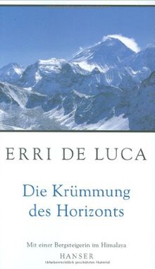 Die Krümmung des Horizonts: Mit einer Bergsteigerin im Himalaya