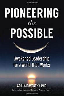 Pioneering the Possible: Awakened Leadership for a World That Works (Sacred Activism)