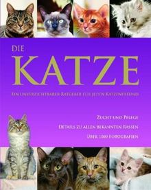 Katzen NEU: Tierenzyklopädien