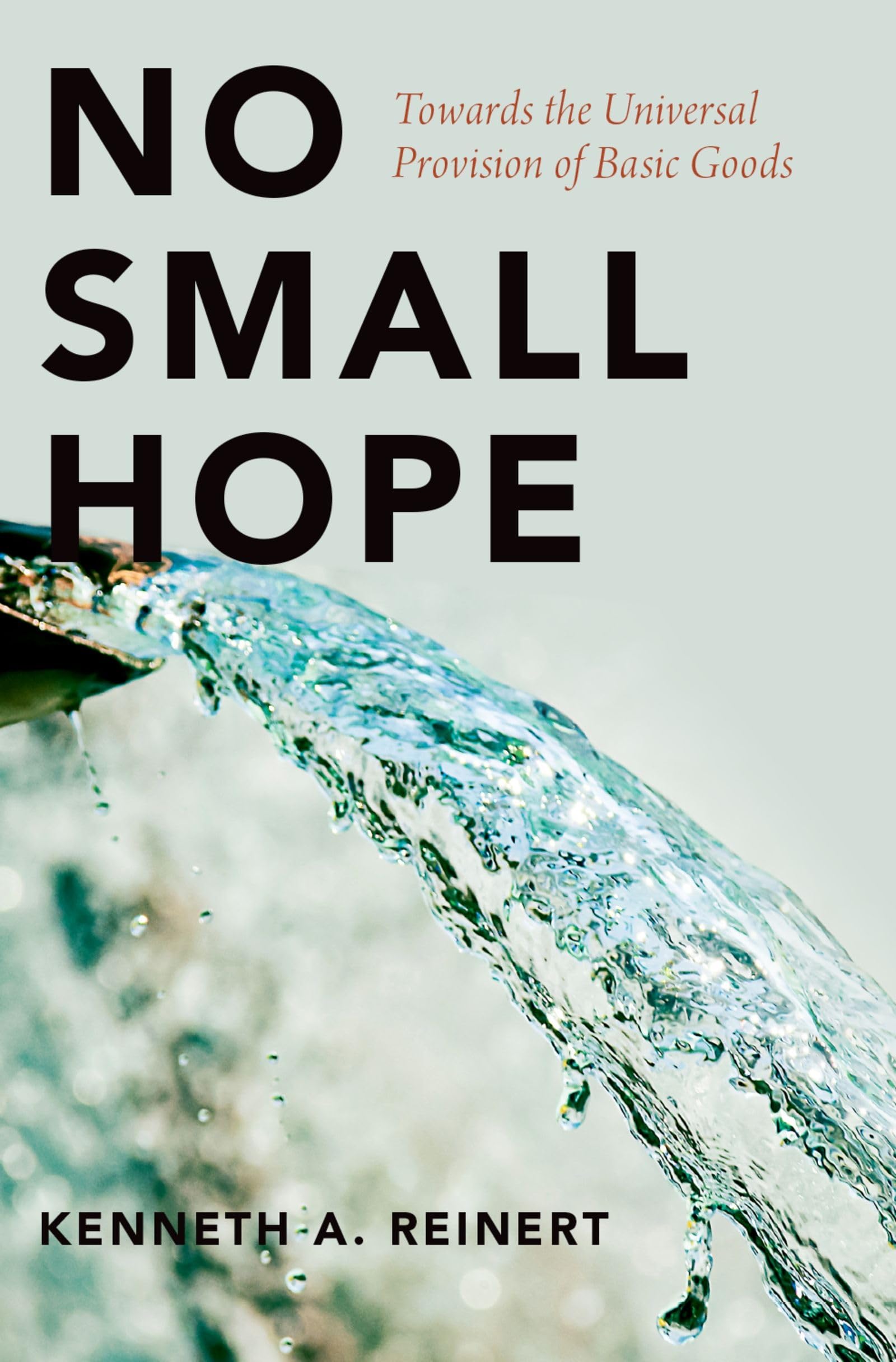 No Small Hope: Towards the Universal Provision of Basic Goods