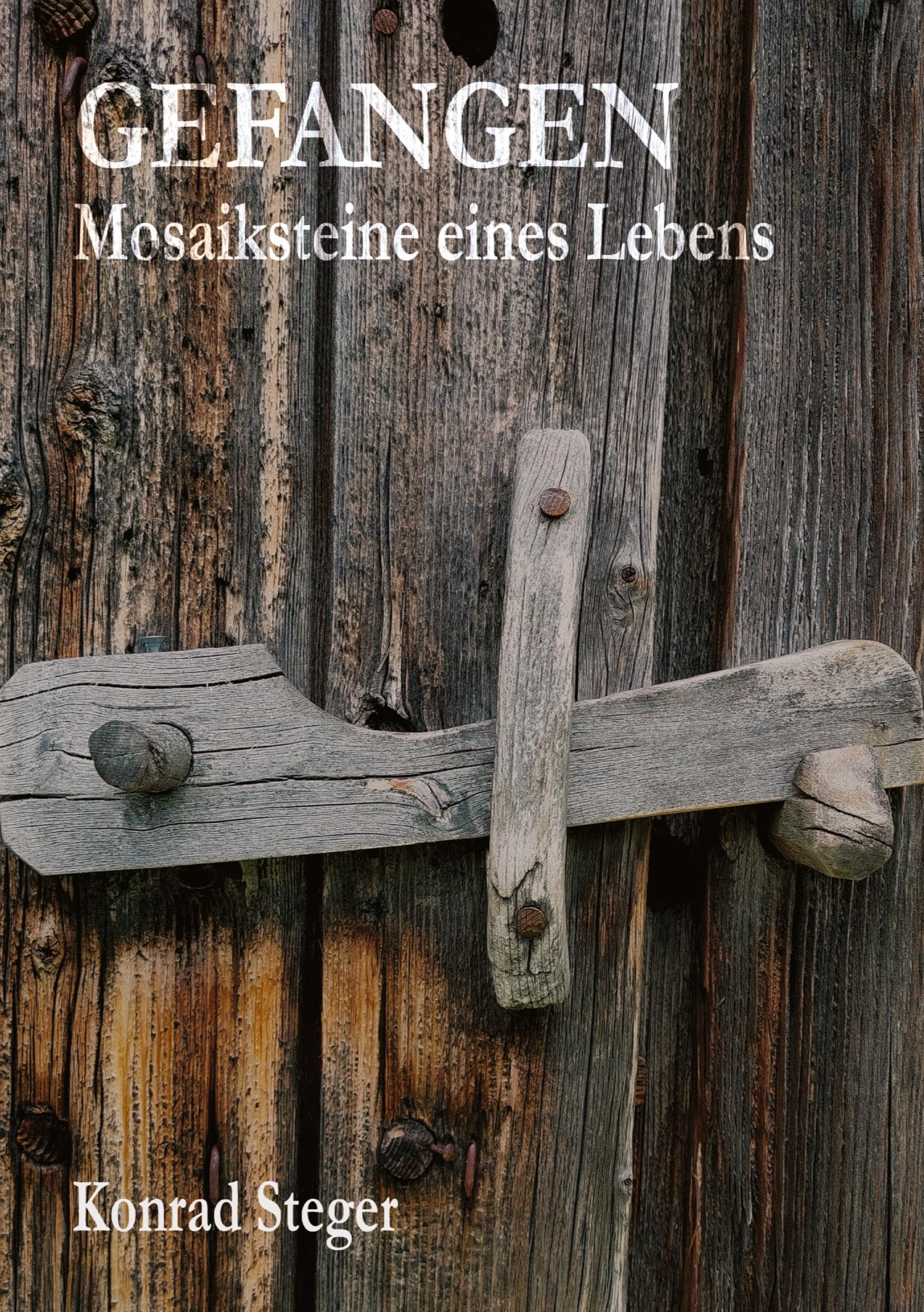 Gefangen.: Mosaiksteine eines Lebens