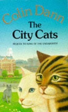 The City Cats (Red Fox middle fiction)