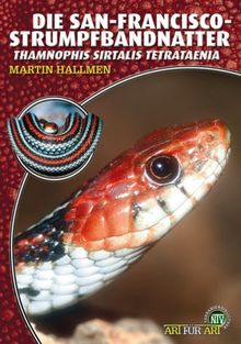 Die San-Francisco-Strumpfbandnatter: Thamnophis sirtalis tetrataenia