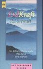 Erd-Kraft. Der keltisch-schamanische Weg durch die Unterwelt. (Erdkraft)