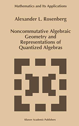 Noncommutative Algebraic Geometry and Representations of Quantized Algebras (Mathematics and Its Applications, 330, Band 330)