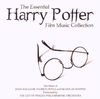 Harry Potter-the Essential