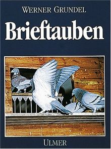Brieftauben von Grundel, Werner | Buch | Zustand gut