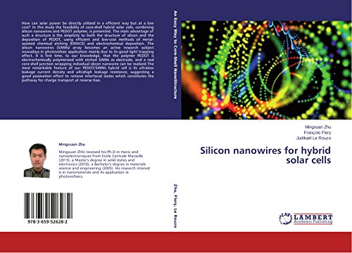 Silicon nanowires for hybrid solar cells
